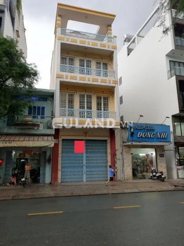 Bất động sản tại TP. Hồ Chí Minh - ảnh 1