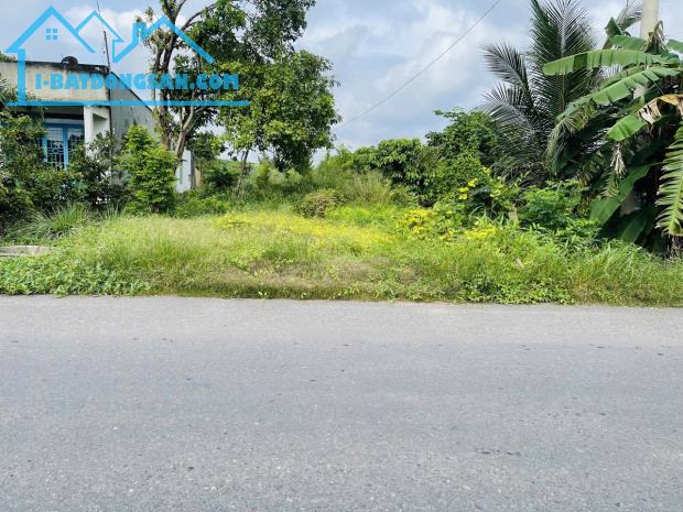 Bất động sản tại Bình Dương - ảnh 1