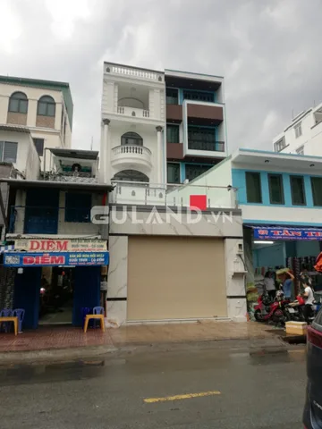 Bất động sản tại TP. Hồ Chí Minh - ảnh 1
