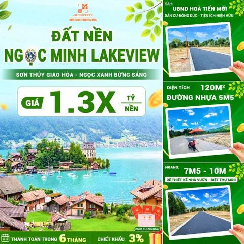 Bất động sản tại Đà Nẵng - ảnh 1
