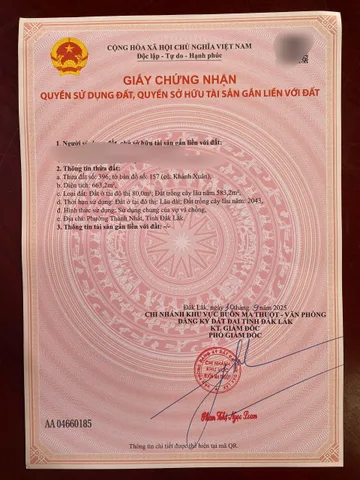 Bất động sản tại Đắk Lắk - ảnh 1