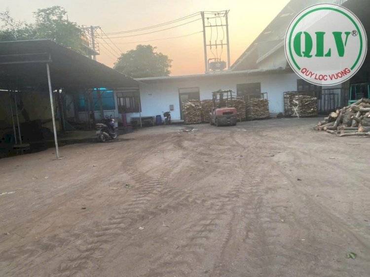 Bất động sản tại Bình Dương - ảnh 1