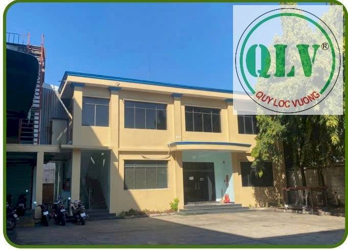 Bất động sản tại Bình Dương - ảnh 1