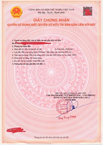 Bất động sản tại Đắk Lắk - ảnh 1