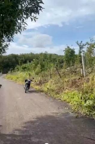 Bất động sản tại Bà Rịa - Vũng Tàu - ảnh 1