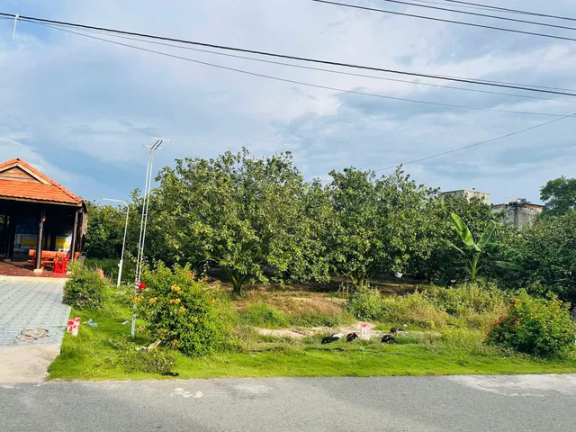 Bất động sản tại Bình Dương - ảnh 1