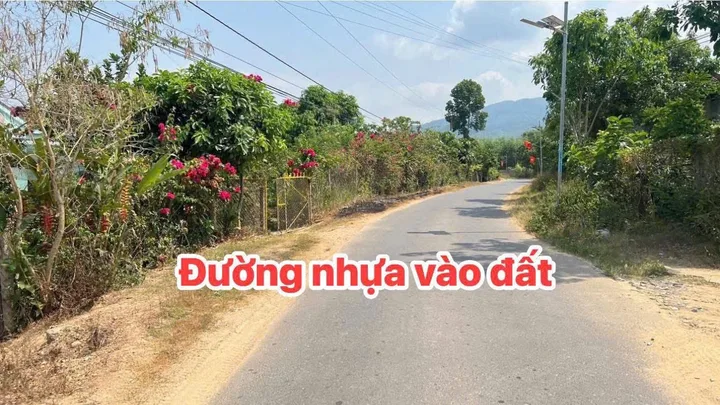 Bất động sản tại Khánh Hòa - ảnh 1