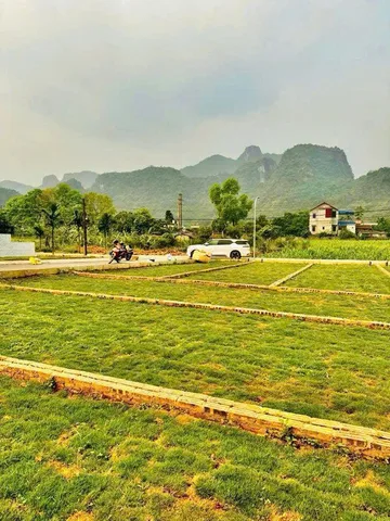 Bất động sản tại Phú Thọ - ảnh 1