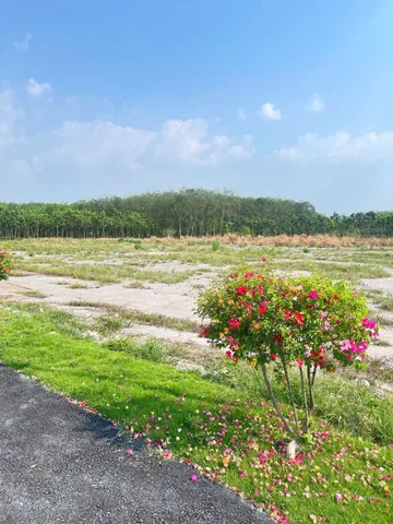 Bất động sản tại Bình Phước - ảnh 1