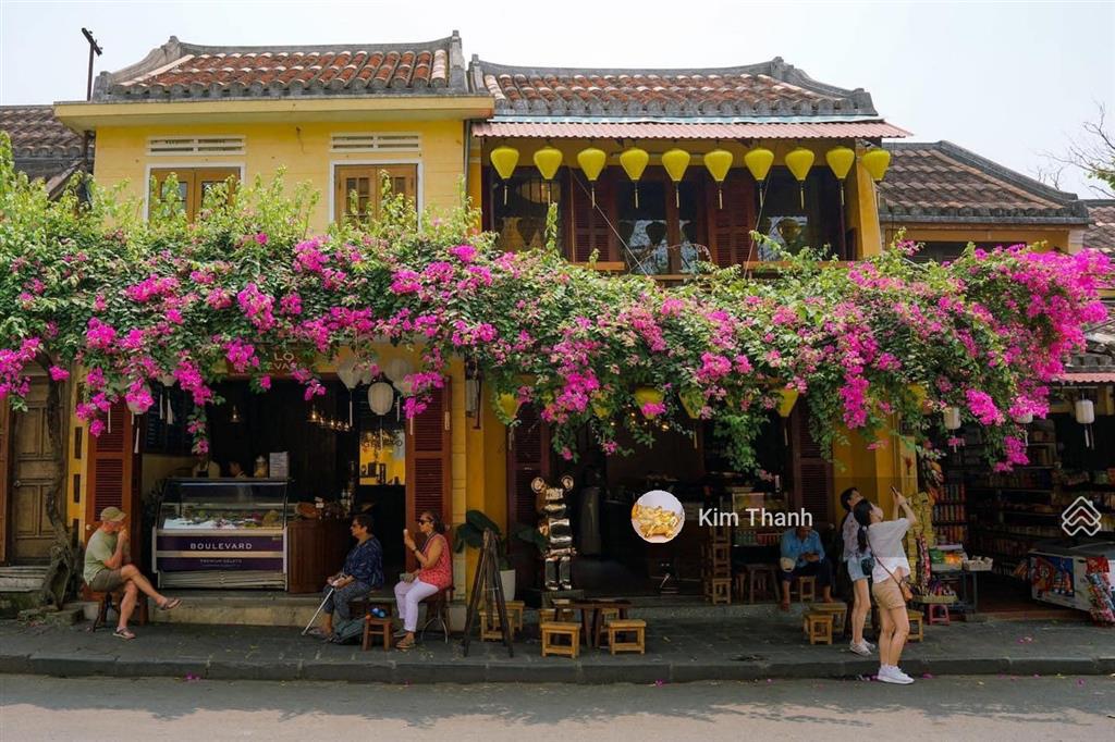 Bất động sản tại Quảng Nam - ảnh 1