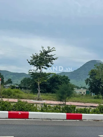 Bất động sản tại Lâm Đồng - ảnh 1