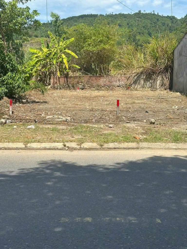 Bất động sản tại Đà Nẵng - ảnh 1