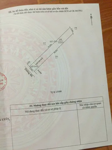 Bất động sản tại Bình Dương - ảnh 1