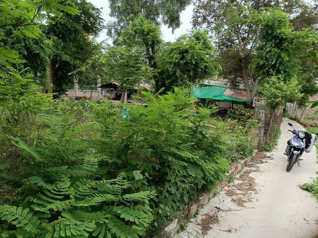 Bất động sản tại Lâm Đồng - ảnh 1