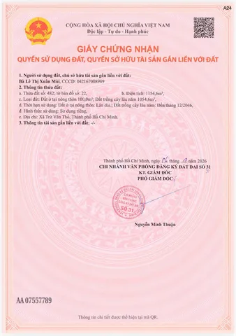 Bất động sản tại Bình Dương - ảnh 1