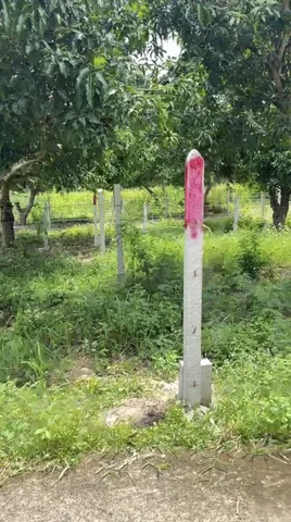 Bất động sản tại Khánh Hòa - ảnh 1