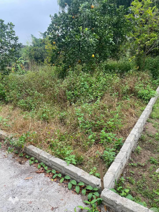 Bất động sản tại Nam Định - ảnh 1
