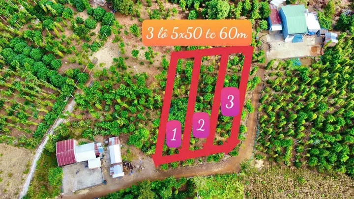 Bất động sản tại Đắk Lắk - ảnh 1