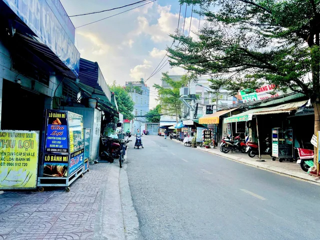 Bất động sản tại TP. Hồ Chí Minh - ảnh 1