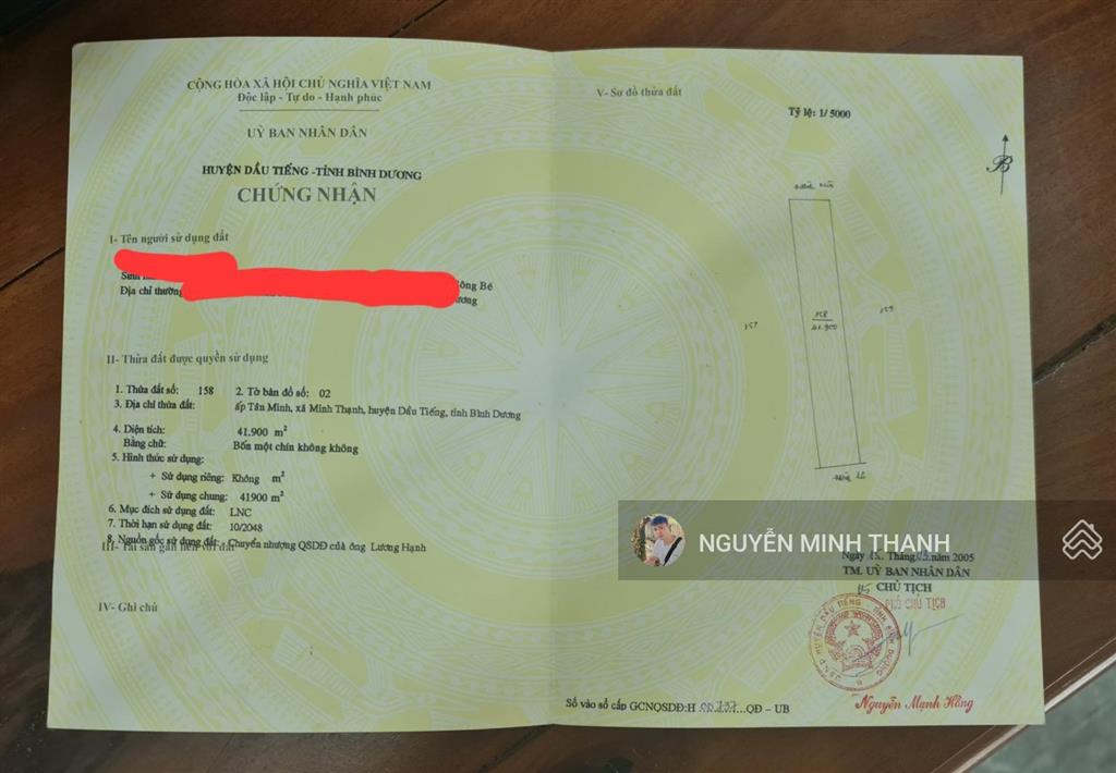 Bất động sản tại Bình Dương - ảnh 1