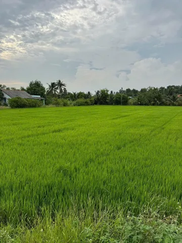 Bất động sản tại Long An - ảnh 1