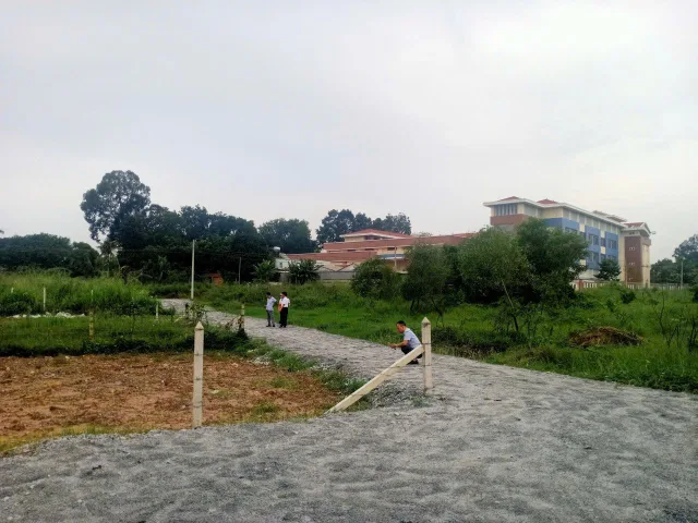 Bất động sản tại TP. Hồ Chí Minh - ảnh 1