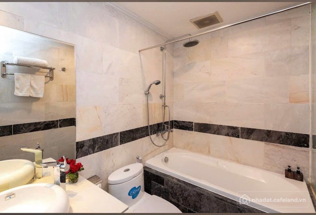 Bất động sản tại Đà Nẵng - ảnh 1