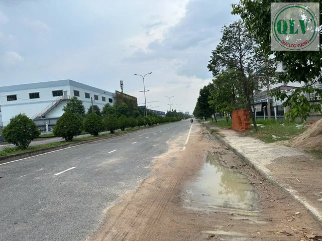 Bất động sản tại Bình Dương - ảnh 1