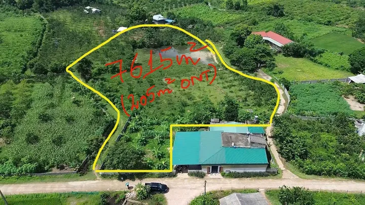 Bất động sản tại Phú Thọ - ảnh 1