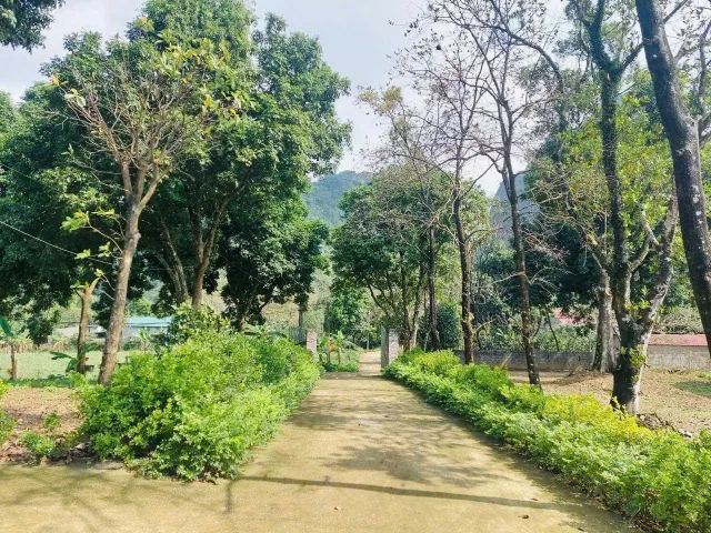 Bất động sản tại Hòa Bình - ảnh 1