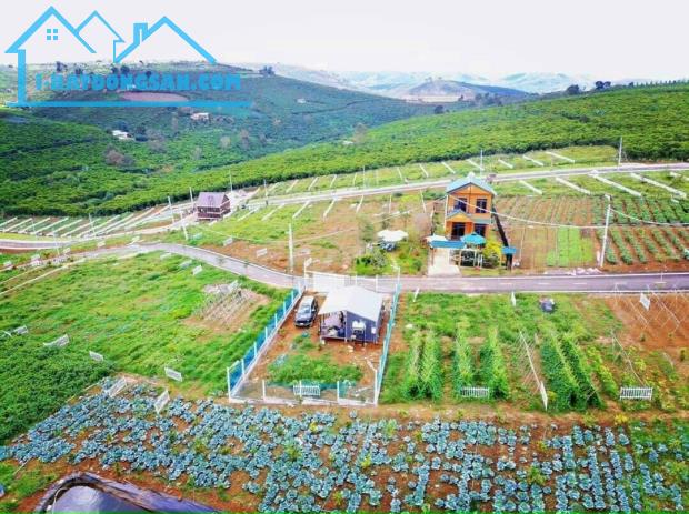 Bất động sản tại Lâm Đồng - ảnh 1