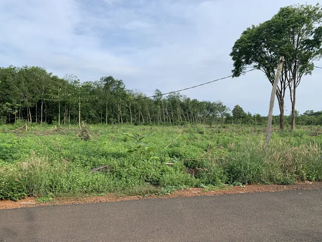 Bất động sản tại Bình Phước - ảnh 1