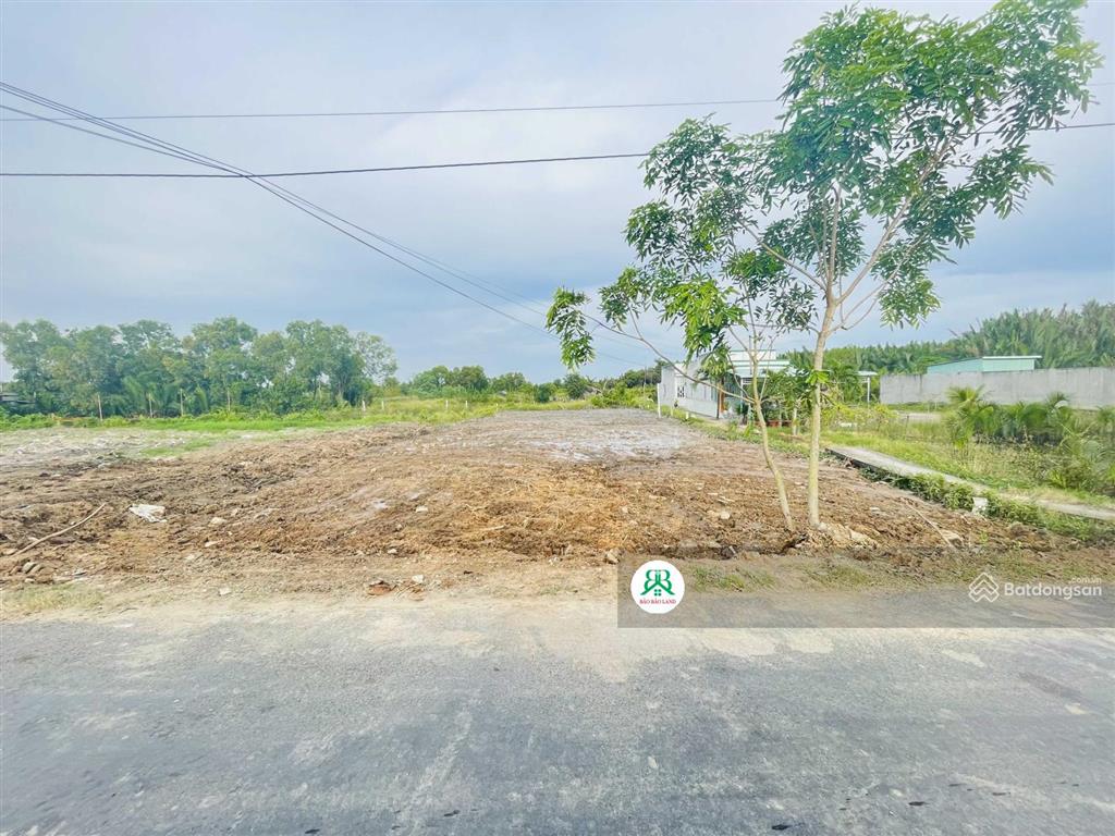 Bất động sản tại Long An - ảnh 1