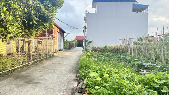Bất động sản tại Hải Phòng - ảnh 1