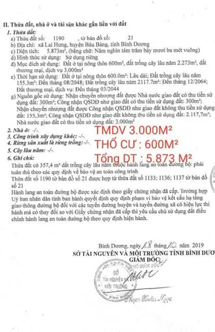 Bất động sản tại Bình Dương - ảnh 1