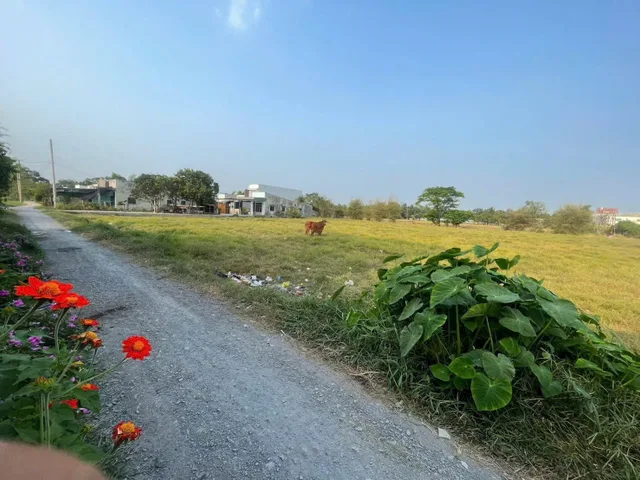 Bất động sản tại Tây Ninh - ảnh 1