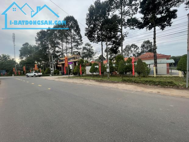 Bất động sản tại Bình Dương - ảnh 1