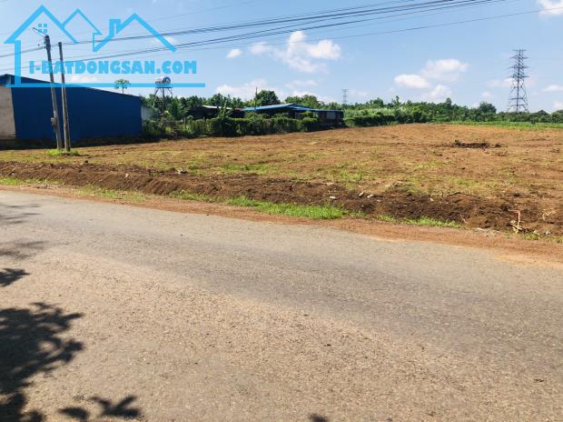 Bất động sản tại Bình Dương - ảnh 1