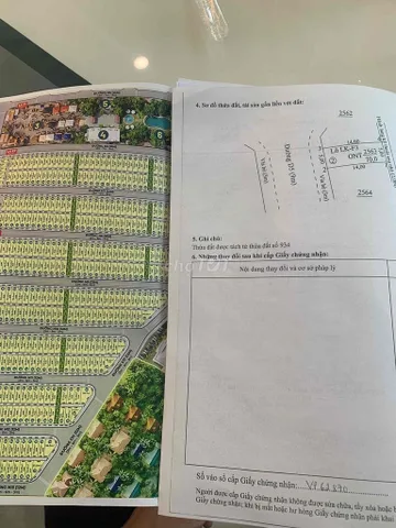 Bất động sản tại Bình Dương - ảnh 1