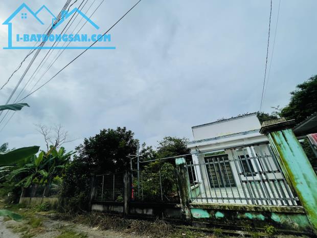 Bất động sản tại Bình Dương - ảnh 1
