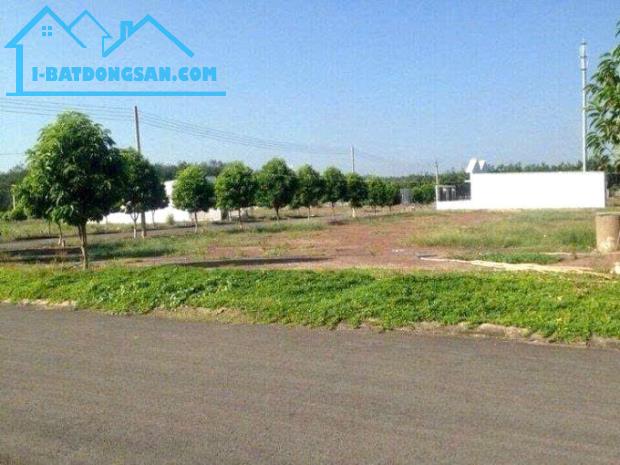 Bất động sản tại Bình Phước - ảnh 1