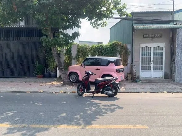 Bất động sản tại Bình Dương - ảnh 1