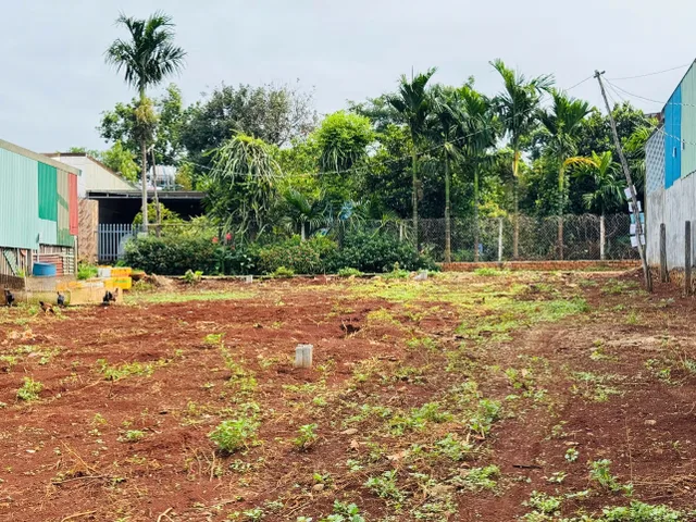 Bất động sản tại Đắk Lắk - ảnh 1