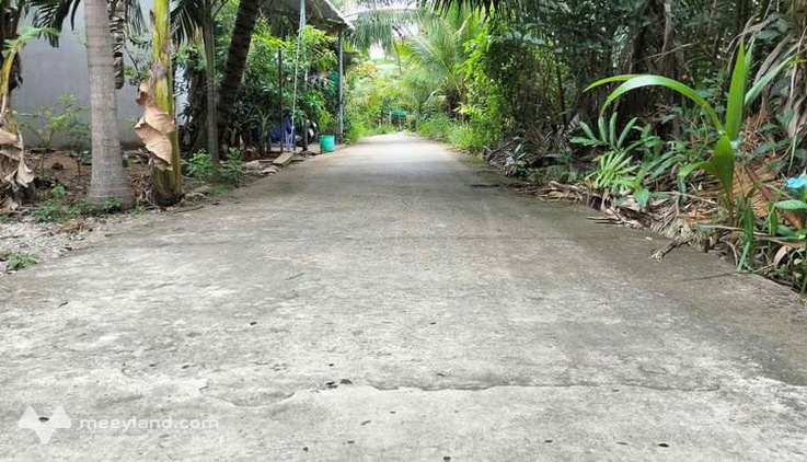 Bất động sản tại Bến Tre - ảnh 1