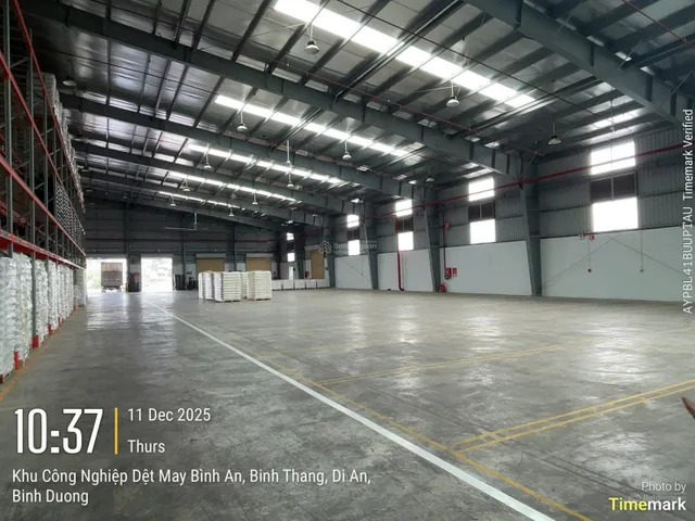 Bất động sản tại Bình Dương - ảnh 1