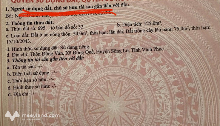 Bất động sản tại Vĩnh Phúc - ảnh 1