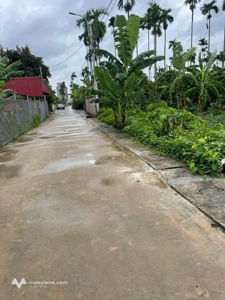 Bất động sản tại Lâm Đồng - ảnh 1