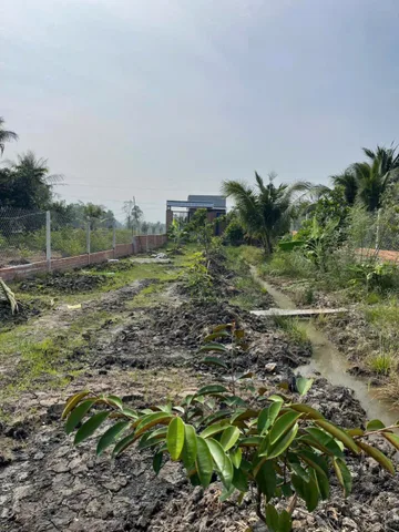 Bất động sản tại Long An - ảnh 1