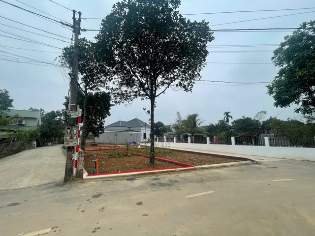 Bất động sản tại Hải Phòng - ảnh 1