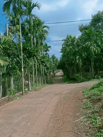 Bất động sản tại Đắk Lắk - ảnh 1